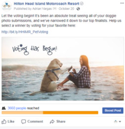 Hilton Head Pet's Paradise Social Post